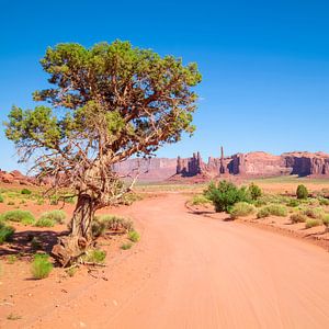 MONUMENT VALLEY Valley Drive