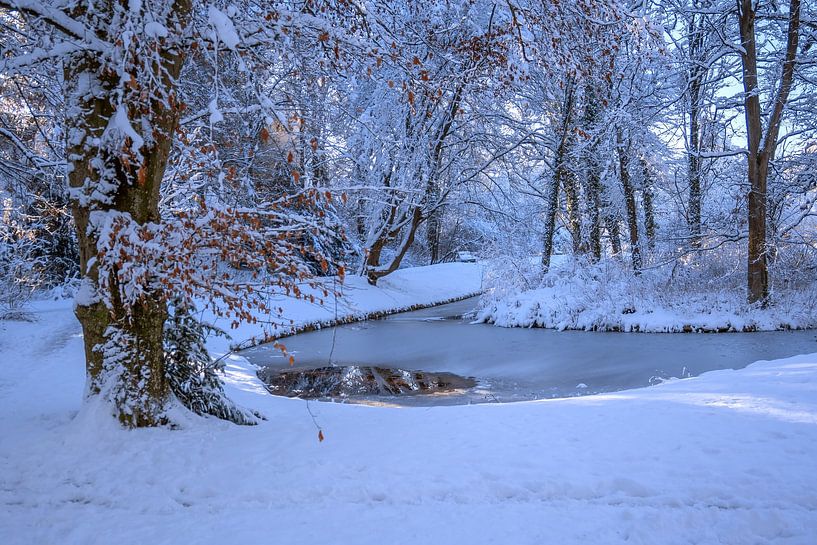 WINTERTIJD : WINTERLANDSCHAP van Photoart-Naegele