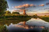 de Hoop