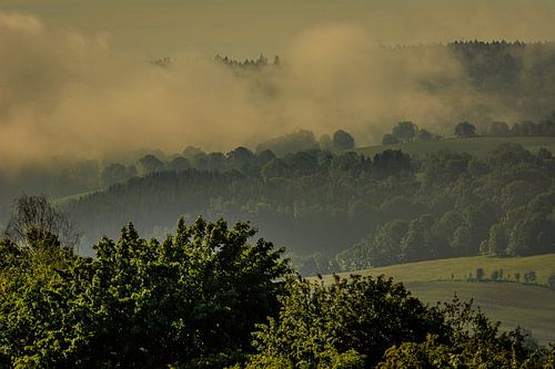 landschap bloemen / bloemenweide natuur