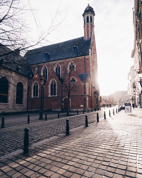 De Maria Magdalenakerk in Brussel op een vroege ochtend net na zonsopkomst (kerk) van Michiel Dros