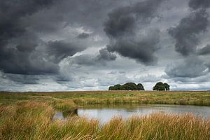 Donkere lucht. van Rob Christiaans