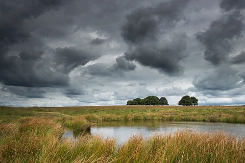 Ciel sombre. sur Rob Christiaans