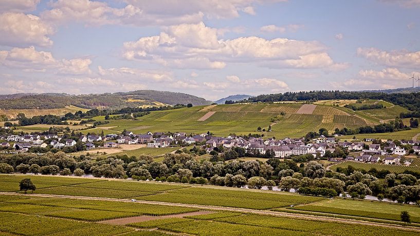 Moselle valley near Brauneberg by Rob Boon