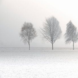 Niederländische Winterlandschaft #6 von Mark Bolijn