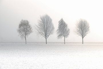 Niederländische Winterlandschaft #6
