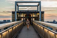 Pedestrian bridge at the Poelaert square, brussels, Belgium, Jul by Werner Lerooy thumbnail