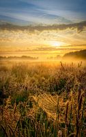 Zonsopkomst boven het Nationaal park De Weerribben-Wieden op een mooie mistige lente ochtend met war