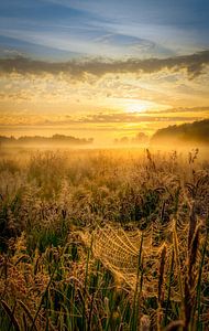 Sonnenaufgang über dem Nationalpark De Weerribben-Wieden an einem schönen nebligen Frühlingsmorgen