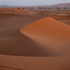 Dune du Sahara au Maroc sur Dayenne van Peperstraten