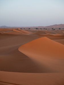 Dune du Sahara au Maroc