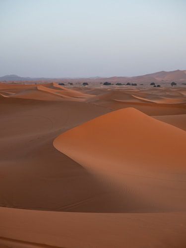 Sahara duin in Marokko van Dayenne van Peperstraten