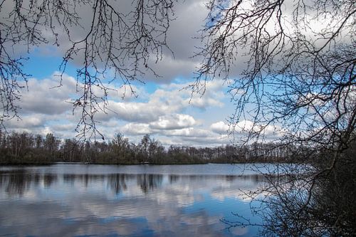 zwettepoel tussen Broek en Goingarijp  {Swettepoel in het fries}