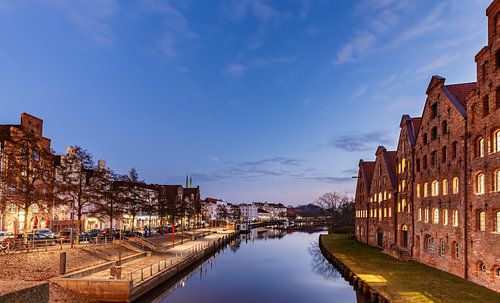 Bovenste raaf in het avondlicht