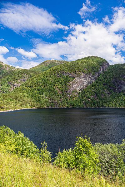 Ein Bergsee in Vestland in Norwegen von Rico Ködder