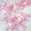 Lente Magnolia I, Julia Purinton van Wild Apple thumbnail