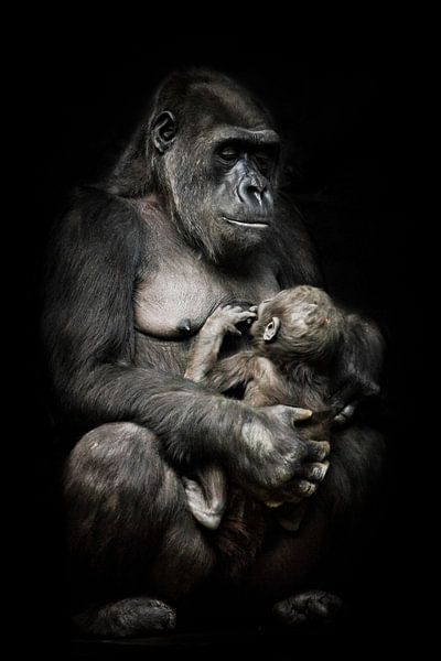 Mère singe gorille par Michael Semenov