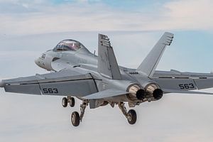 Übung macht den Meister! Übung für die Landung auf einem Flugzeugträger. Eine Boeing EA-18G Growler  von Jaap van den Berg