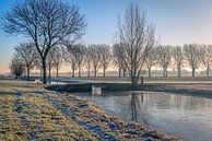 Paysage d'hiver dans l'Alblasserwaard, Bleskensgraaf par Ruud Morijn Aperçu
