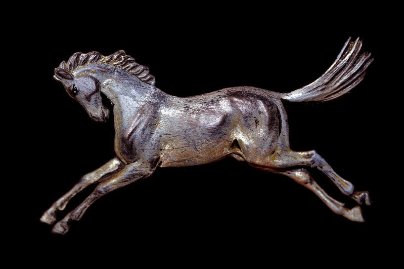 Running horse by Jolanta Mayerberg