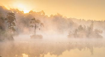 Mistige zonsopkomst in Brabant in de zomer