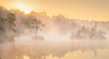 Mistige zonsopkomst in Brabant in de zomer van Andy Luberti