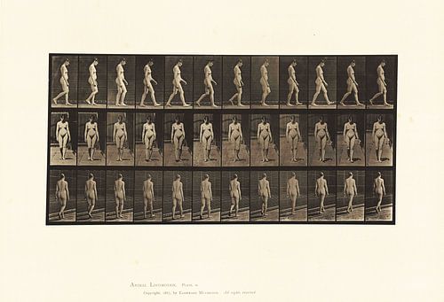 Naakte vrouw aan het wandelen