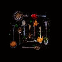 Herbs and spices in all kinds of spoons