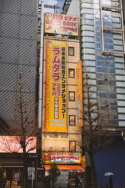 Akihabara: The Mecca of Technology and Otaku Culture in Tokyo by Ken Tempelers