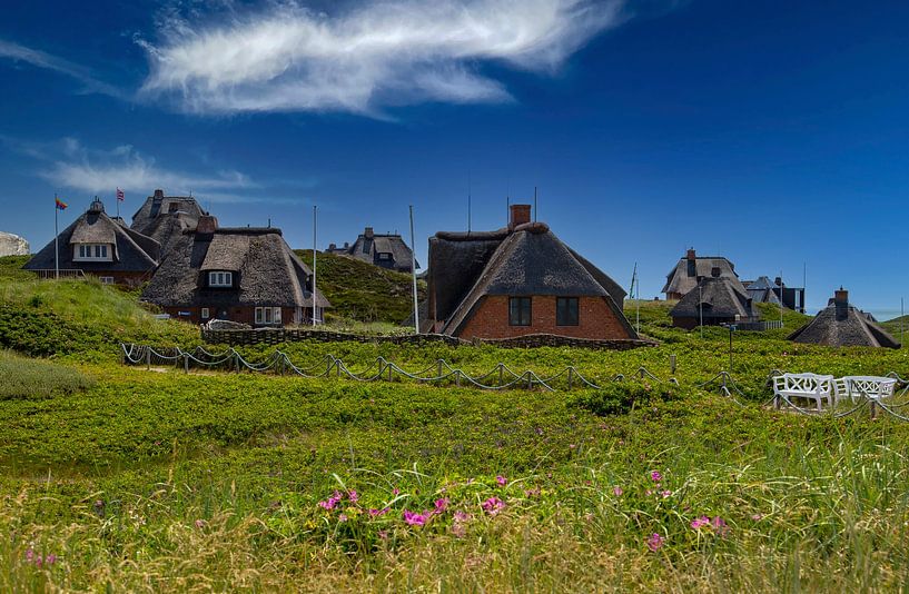 Thatched roof houses and Sylt roses by Gerwin Schadl