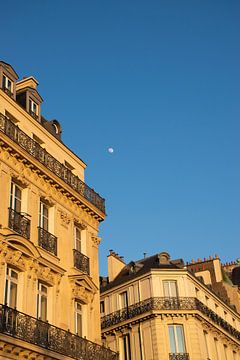 Moon over Parijs van Ingrid de Vos - Boom