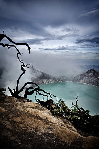 Scorched roots against the supernatural blue of the volcano by Frank Photos