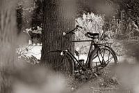 Altes Fahrrad