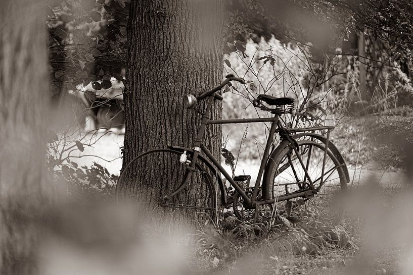 Altes Fahrrad von Erwin Heuver