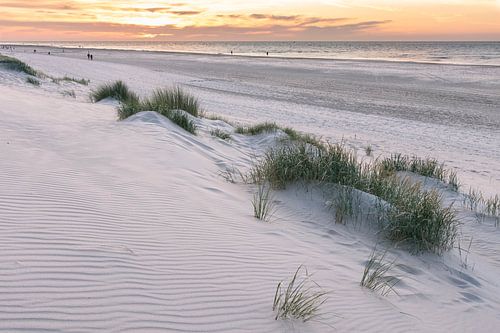 Strand Vlieland tijdens zonsondergang
