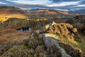 Ansicht von Holmefell Lake District England