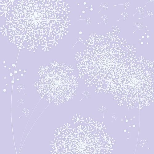 Paardenbloem Sneeuwvlok Zeer Peri Lila Lavendel