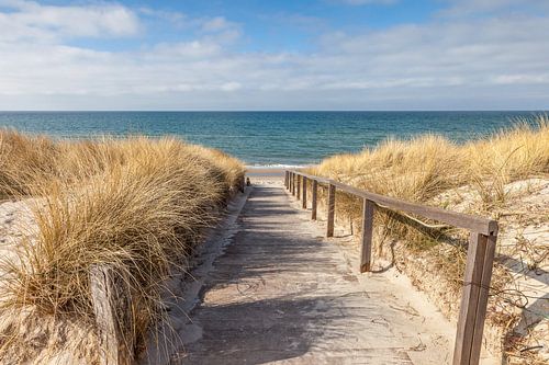 Weg naar het strand aan de Oostzee