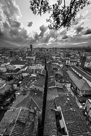 View down towards Lucca from the Torre Guinigi by Harald Bader Photography