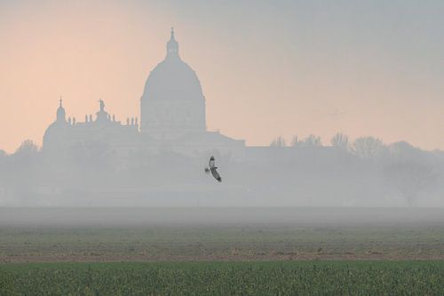 Vue hivernale sur Oudenbosch pour les amateurs d'oiseaux