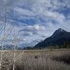 Abraham Lake Alb Canada van Hans Lok