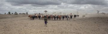 Masai Herd van BL Photography