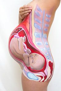 Foetus Art van Leonie Versantvoort