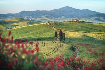Italien Toskana Hügellandschaft bei Pienza von Jean Claude Castor