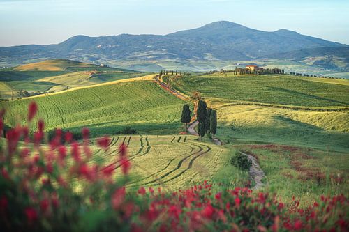 Italië Toscane Heuvelachtig landschap bij Pienza