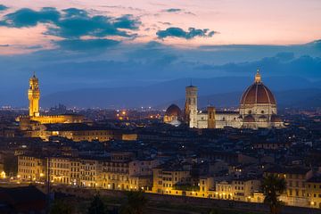 Prachtige skyline van Florence van Roelof Nijholt