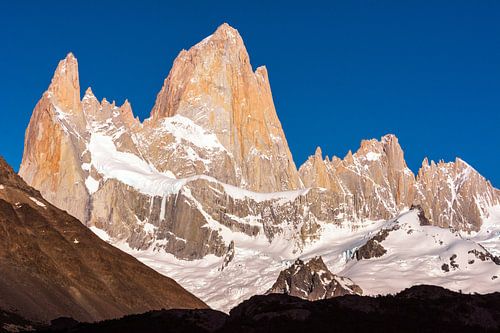 Gros plan sur FitzRoy