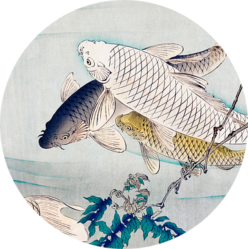 Zes karpers zwemmend onder blauwe regen, Tsukioka Yoshitoshi