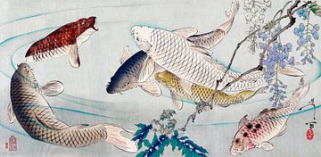 Zes karpers zwemmend onder blauwe regen, Tsukioka Yoshitoshi
