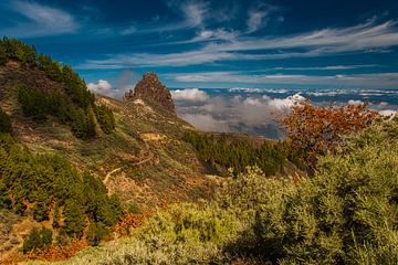 Bergen op Gran Canaria